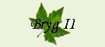 Bryg II