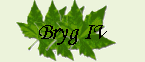 Bryg IV
